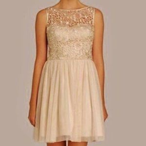 Aiden Mattox Champagne Lace‎ Cocktail Dress Size 10